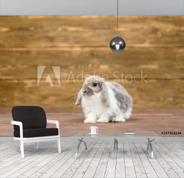 Picture of Rabbit on wooden background Empty space for text